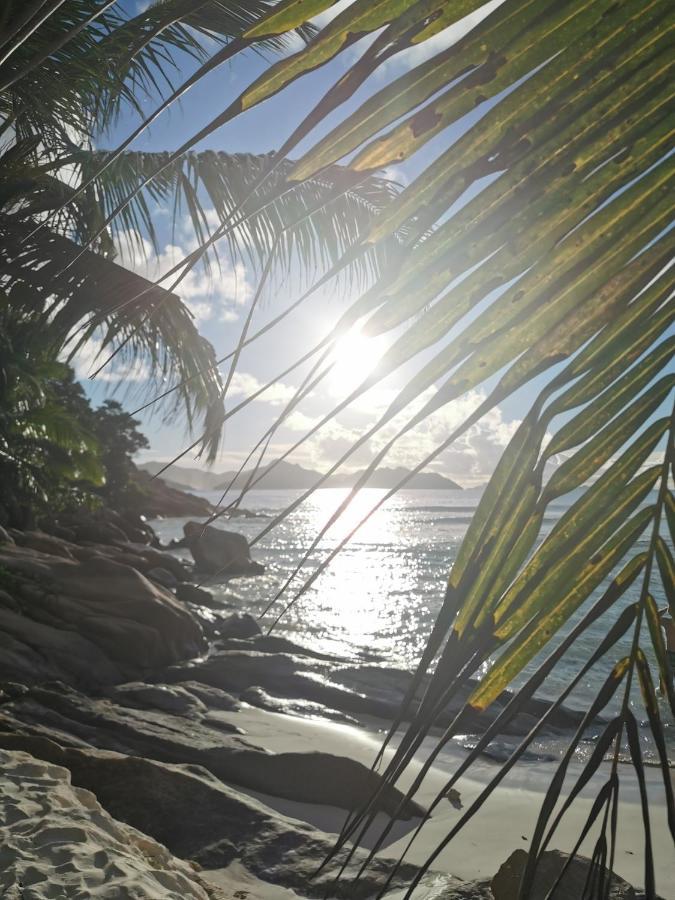 Chez Marva Grande Villa Coco 3 A 12 Personnes ラ・ディーグ島 エクステリア 写真